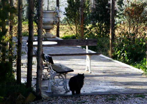 image02